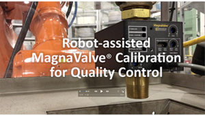 Robot-Assisted  MagnaValve Calibration for Quality Control